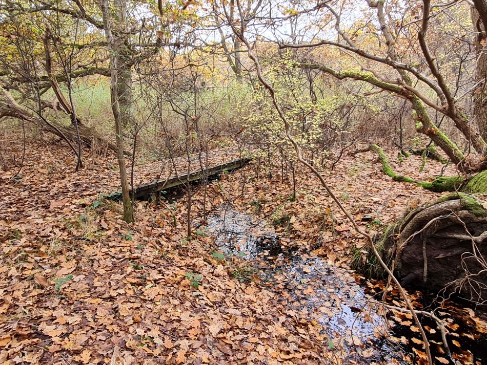 2023-11-22 11 Southwold and Walberswick.jpg
