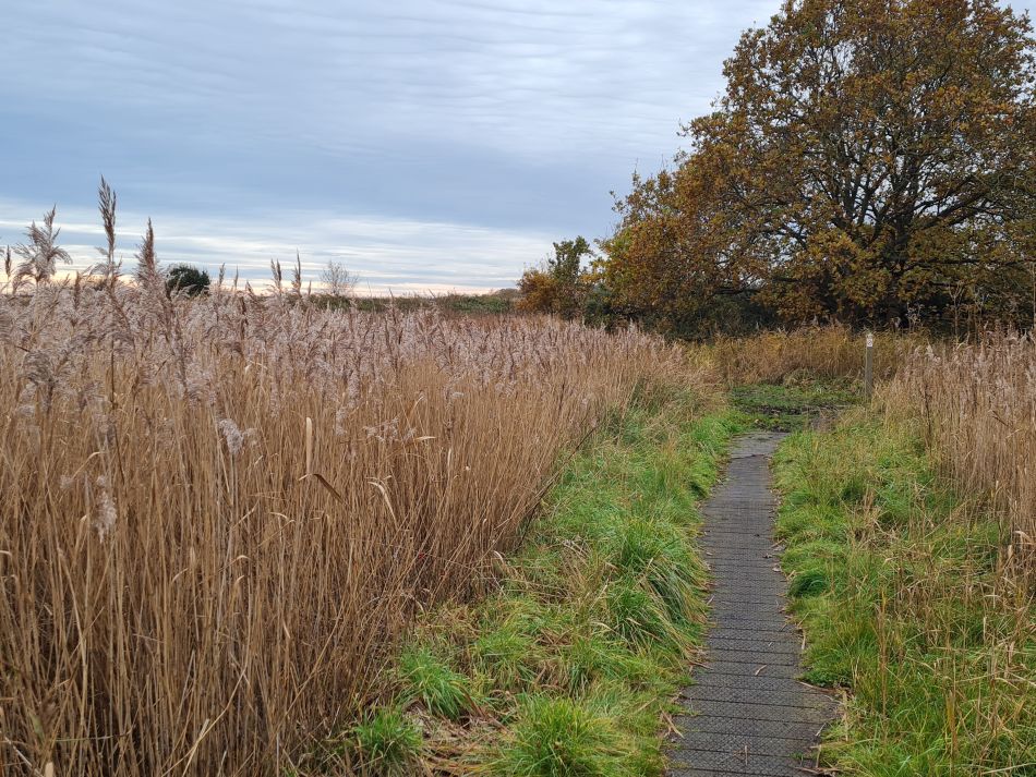 2023-11-22 13 Southwold and Walberswick.jpg