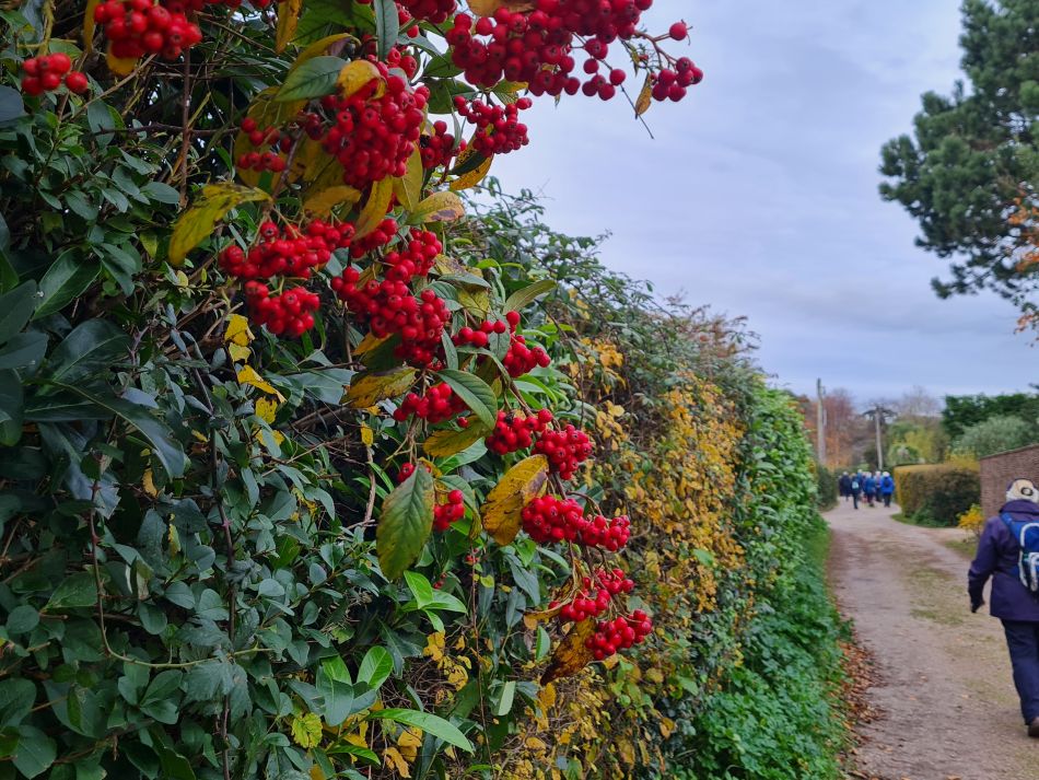 2023-11-22 17 Southwold and Walberswick.jpg