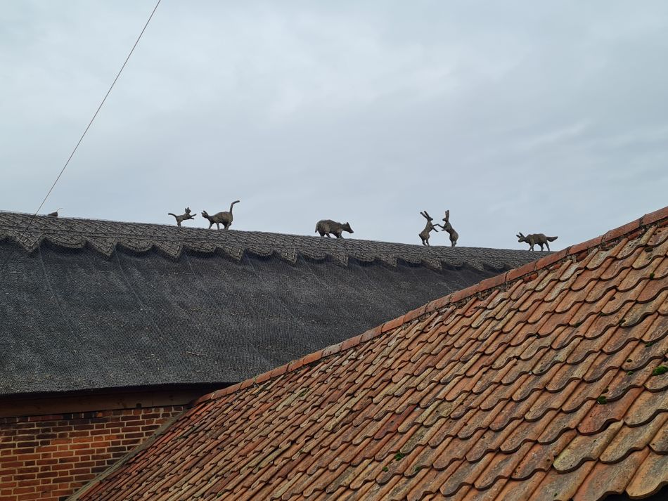 2023-11-22 24 Southwold and Walberswick.jpg