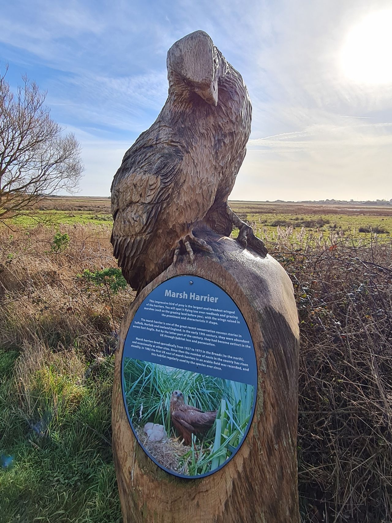 2025-01-09 06 Southwold.jpg