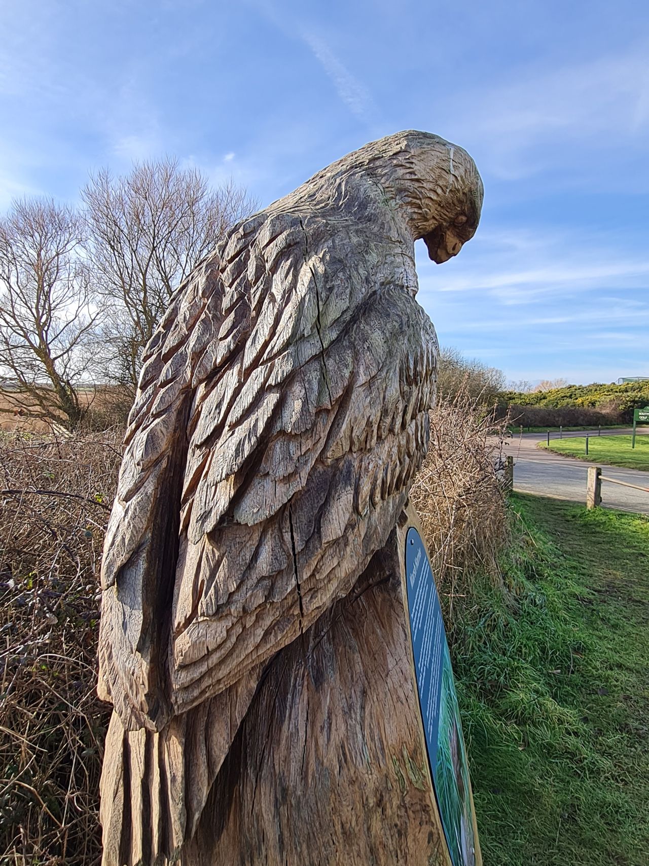 2025-01-09 07 Southwold.jpg