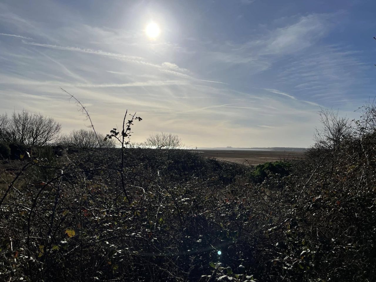 2025-01-09 09 Southwold.jpg