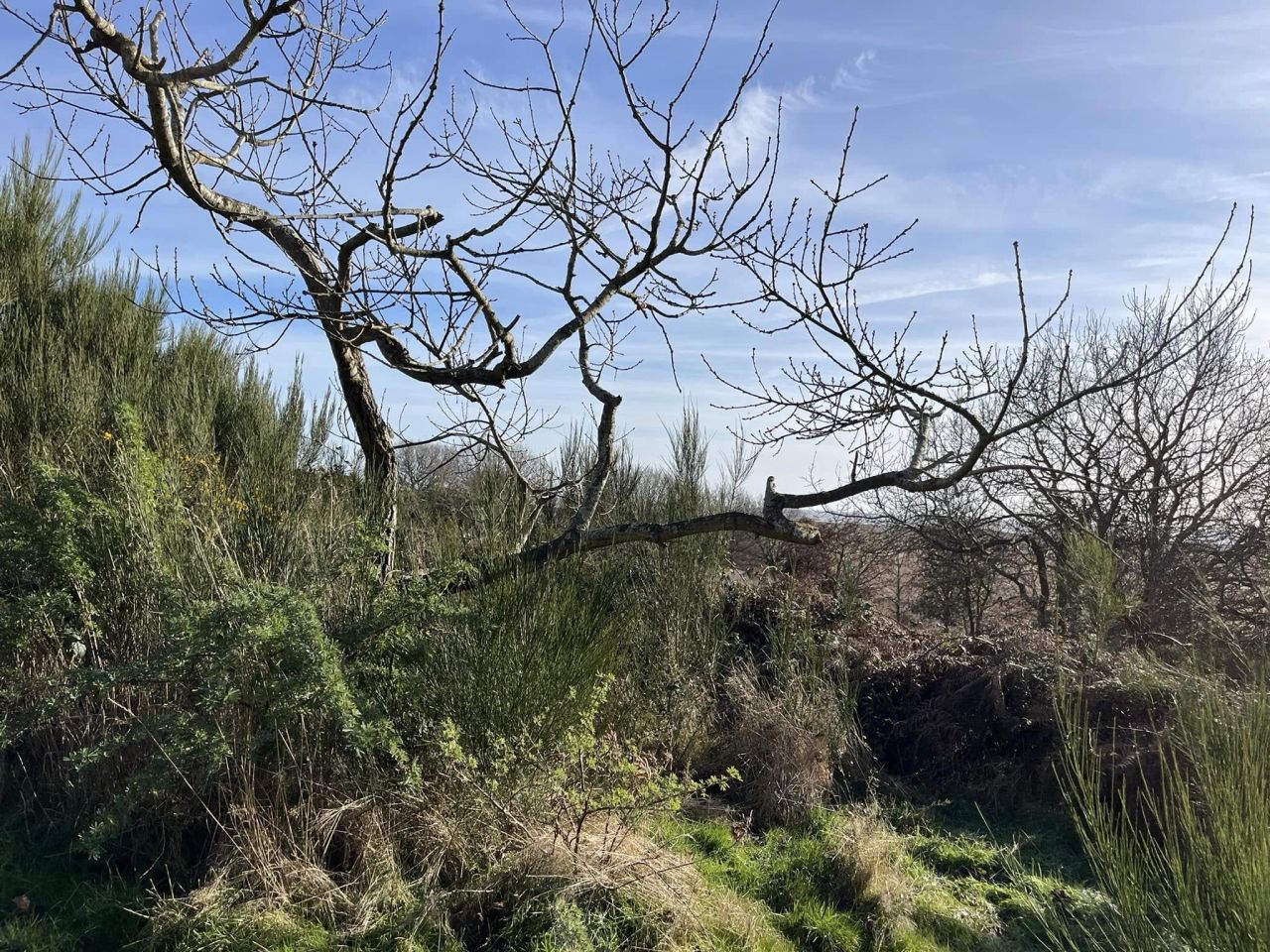 2025-01-09 12 Southwold.jpg