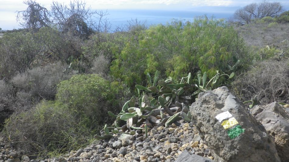 2020-01-10 05 Walk 2 Guia Chirche Aripe.jpg