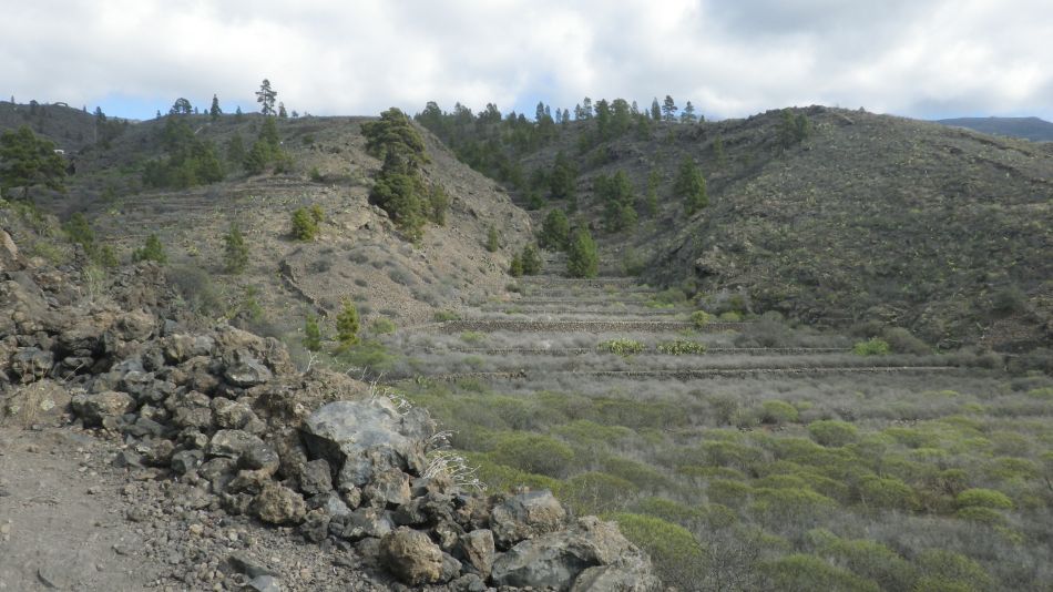 2020-01-10 06 Walk 2 Guia Chirche Aripe.jpg