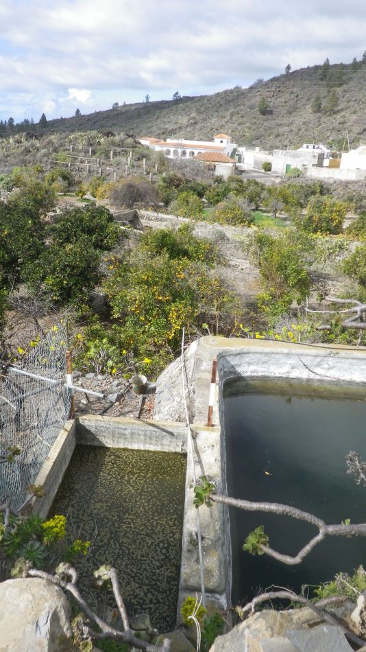 2020-01-10 11 Walk 2 Guia Chirche Aripe.jpg