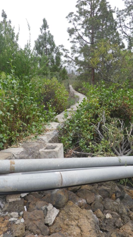 2020-01-11 02 Walk 3 Guia de Isora Restaurante las Estrellas.jpg