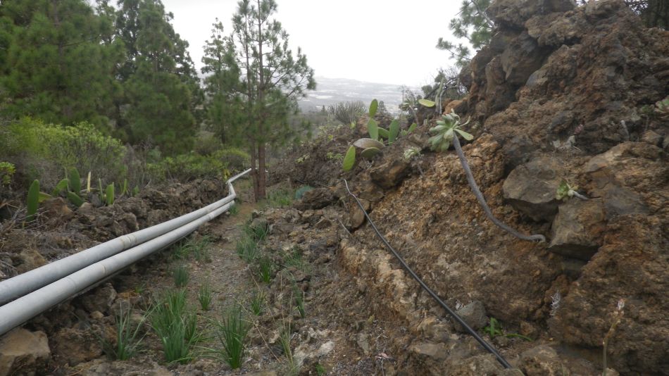 2020-01-11 03 Walk 3 Guia de Isora Restaurante las Estrellas.jpg