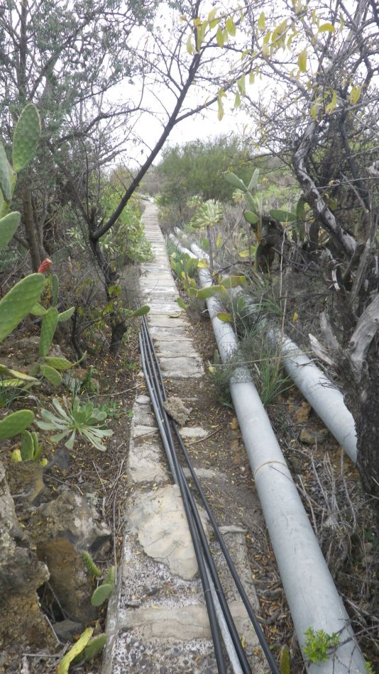 2020-01-11 04 Walk 3 Guia de Isora Restaurante las Estrellas.jpg