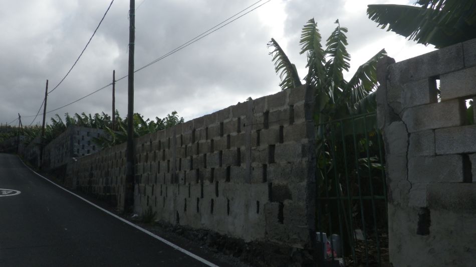 2020-01-12 08 Walk 4 Los Gigantes to Guia De Isora.jpg