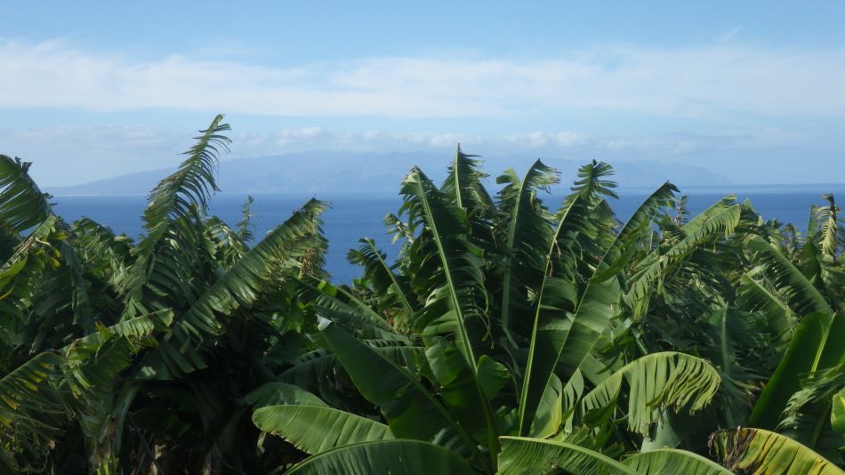 2020-01-12 09 Walk 4 Los Gigantes to Guia De Isora.jpg