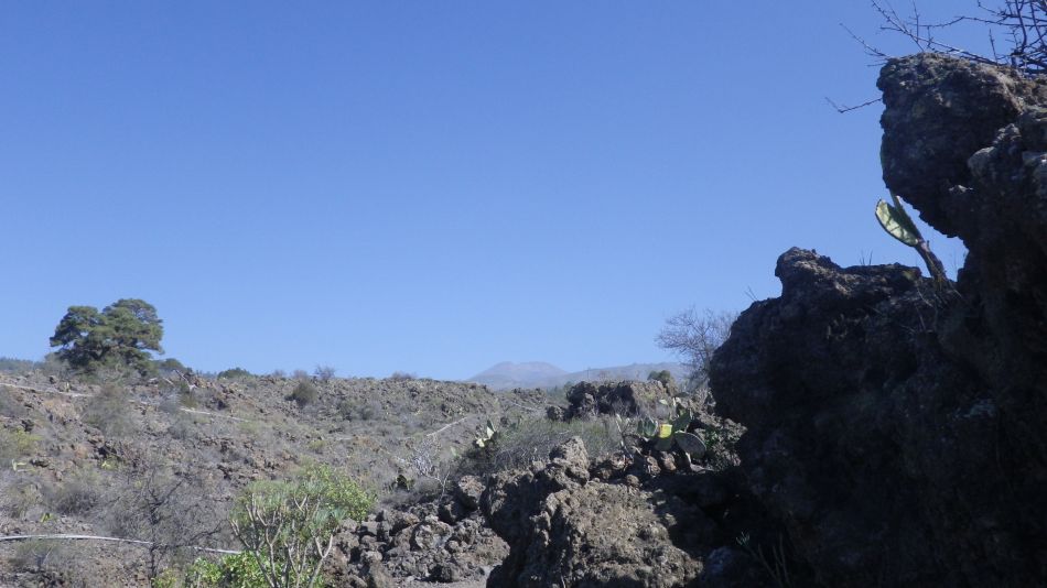 2020-01-13 01 Walk 5 Guia Wider Circular.jpg