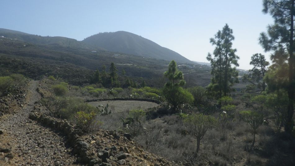 2020-01-13 02 Walk 5 Guia Wider Circular.jpg