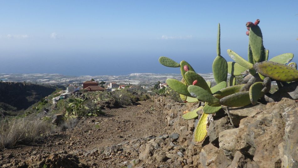 2020-01-14 03 Walk 6 Walk 6 Guia Jaral Chirche.jpg