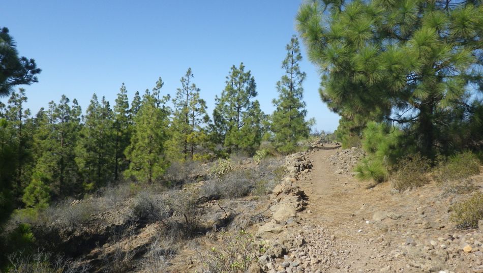 2020-01-14 05 Walk 6 Walk 6 Guia Jaral Chirche.jpg