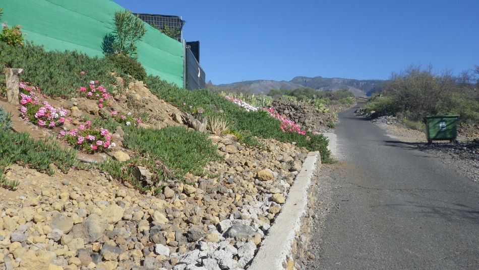 2020-01-18 01 Walk 9 Guia NW Aripe South.jpg