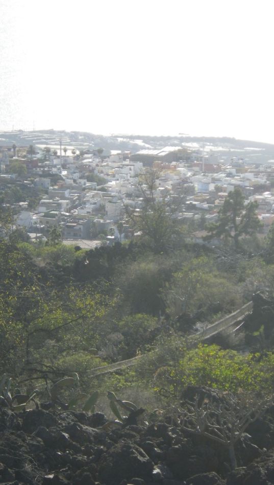 2020-01-18 07 Walk 9 Guia NW Aripe South.jpg