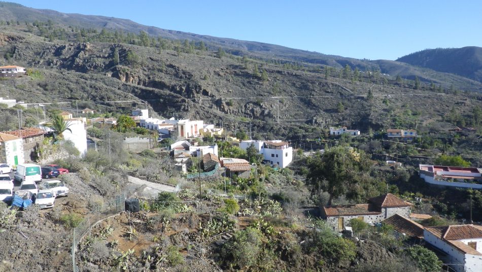 2020-01-18 10 Walk 9 Aripe.jpg