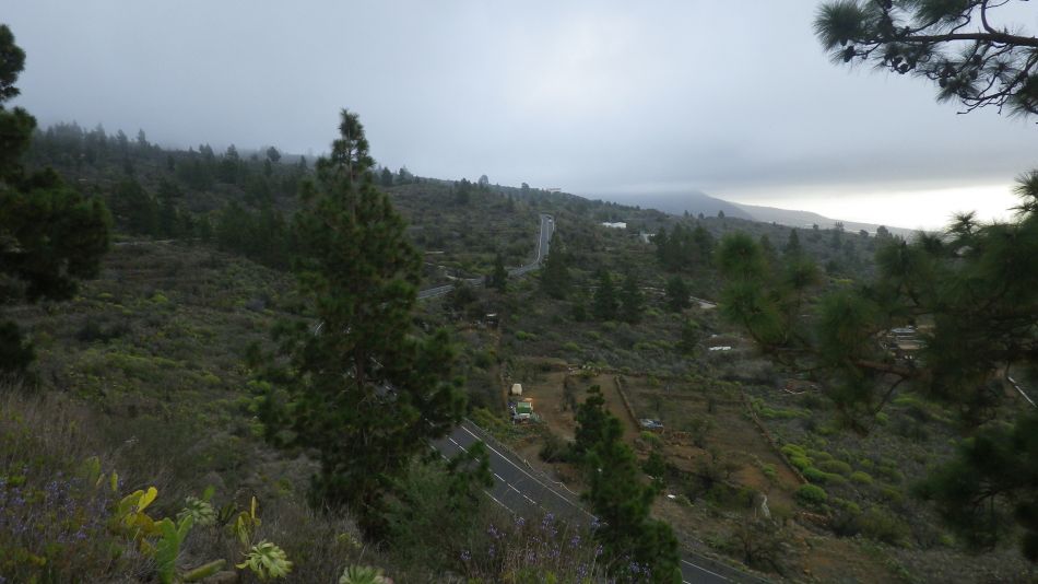 2020-01-20 03 Walk 11 Chio NE Galleria Aripe.jpg