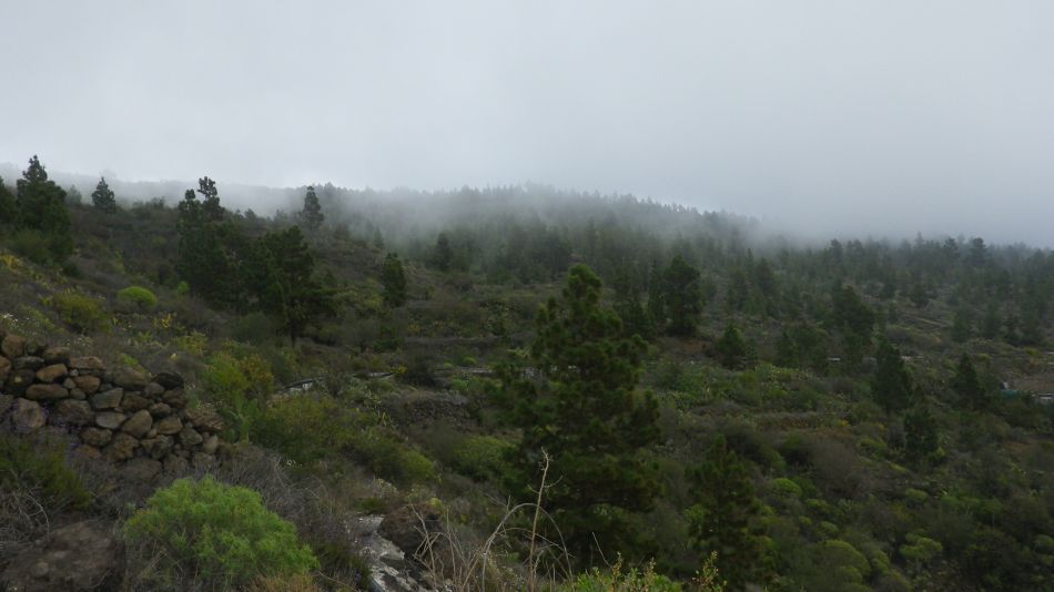 2020-01-20 04 Walk 11 Chio NE Galleria Aripe.jpg