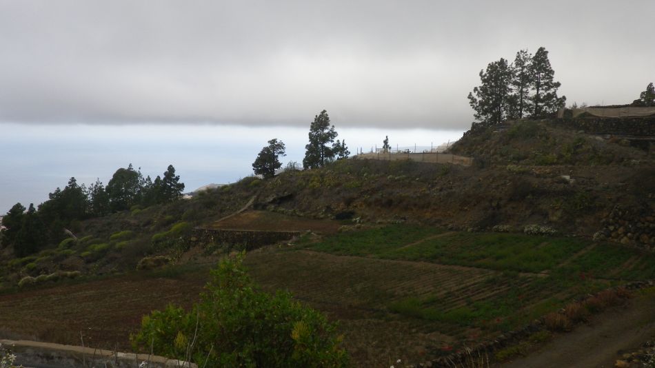 2020-01-20 06 Walk 11 Chio NE Galleria Aripe.jpg