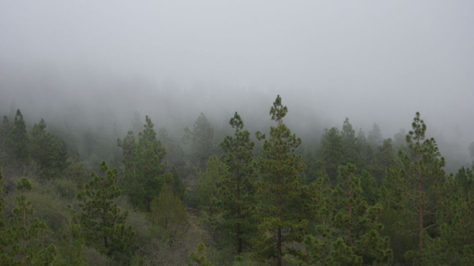 2020-01-20 08 Walk 11 Chio NE Galleria Aripe.jpg