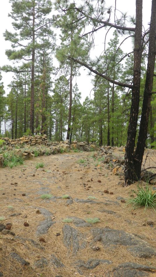 2020-01-20 11 Walk 11 Chio NE Galleria Aripe.jpg