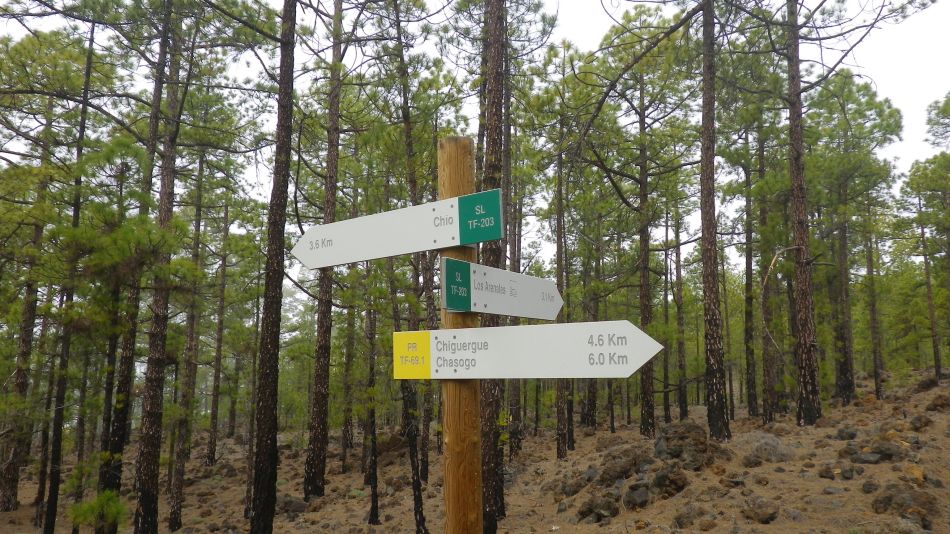 2020-01-20 15 Walk 11 Chio NE Galleria Aripe.jpg