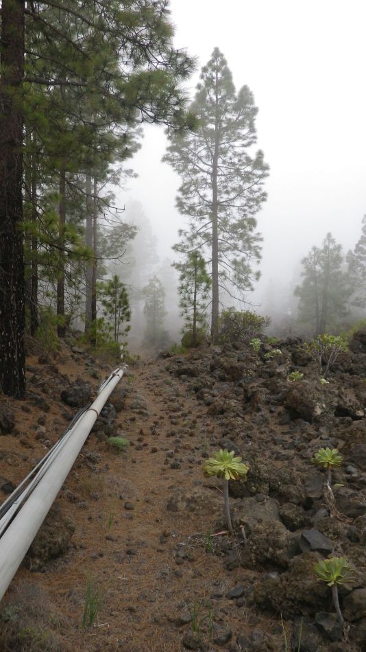 2020-01-20 23 Walk 11 Chio NE Galleria Aripe.jpg