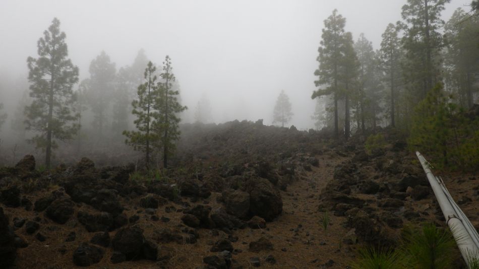 2020-01-20 24 Walk 11 Chio NE Galleria Aripe.jpg