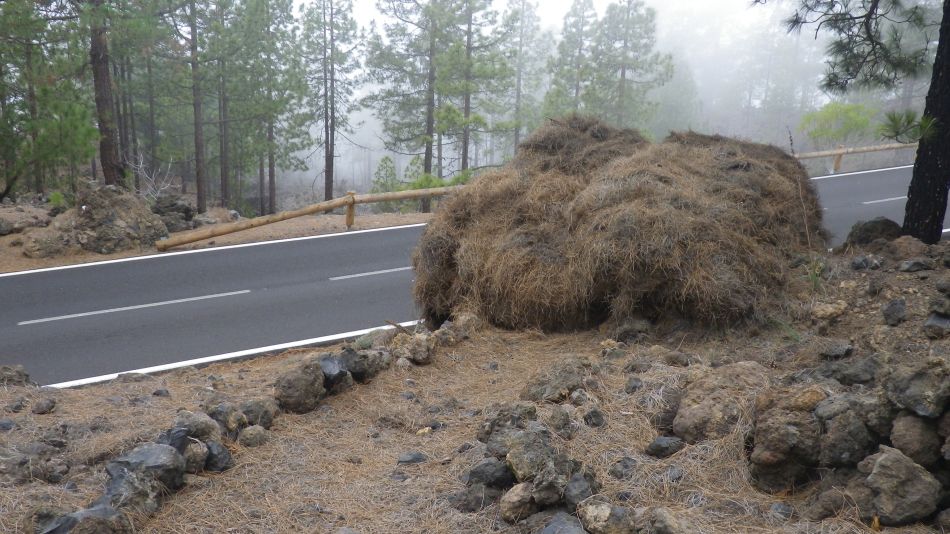 2020-01-20 25 Walk 11 Chio NE Galleria Aripe.jpg