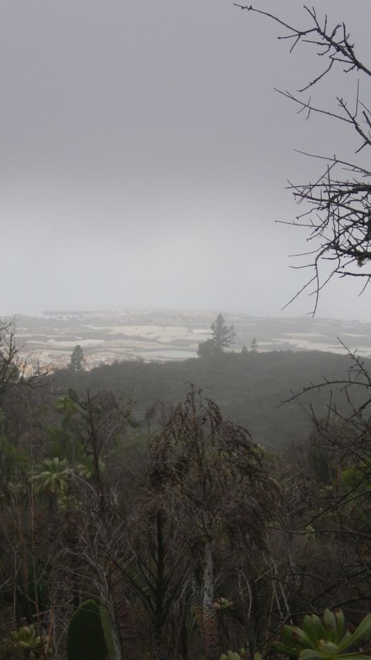 2020-01-20 26 Walk 11 Chio NE Galleria Aripe.jpg