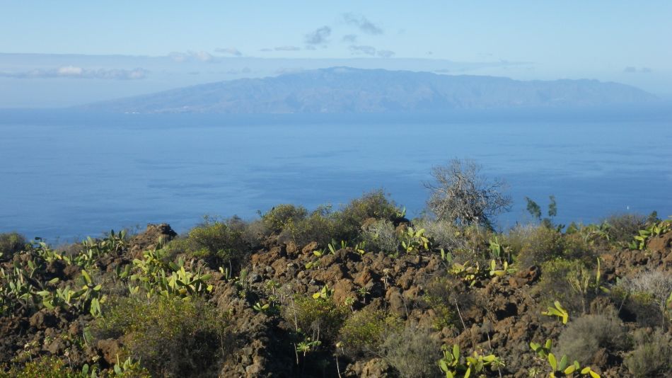 2020-01-22 02 Walk 13 Guia NE East SW West.jpg