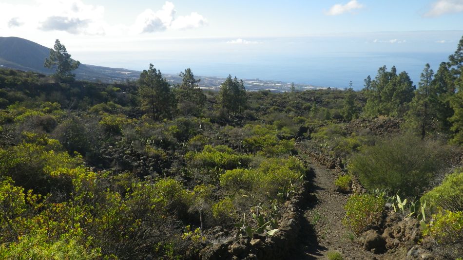 2020-01-22 04 Walk 13 Guia NE East SW West.jpg