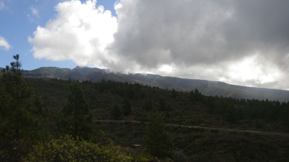 2020-01-22 05 Walk 13 Guia NE East SW West.jpg