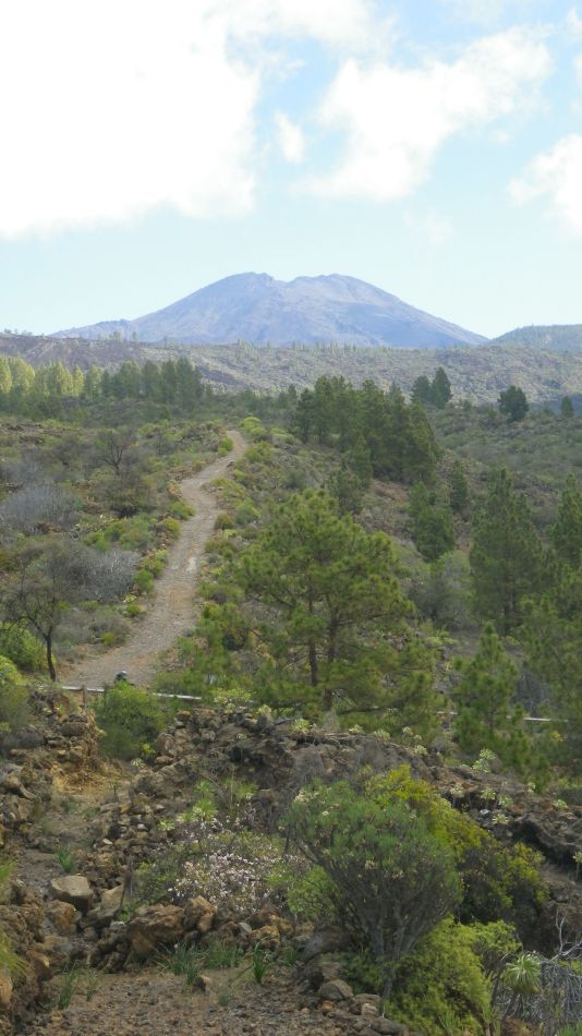 2020-01-22 06 Walk 13 Guia NE East SW West.jpg