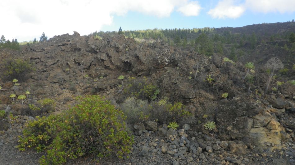 2020-01-22 08 Walk 13 Guia NE East SW West.jpg