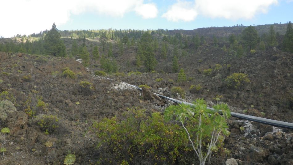 2020-01-22 09 Walk 13 Guia NE East SW West.jpg