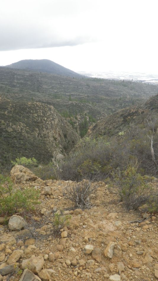 2020-01-22 12 Walk 13 Guia NE East SW West.jpg