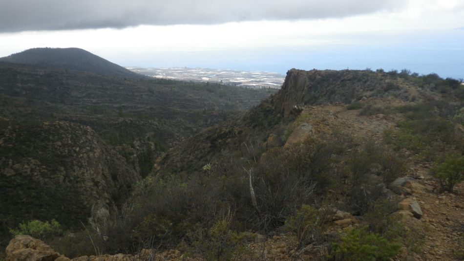 2020-01-22 13 Walk 13 Guia NE East SW West.jpg