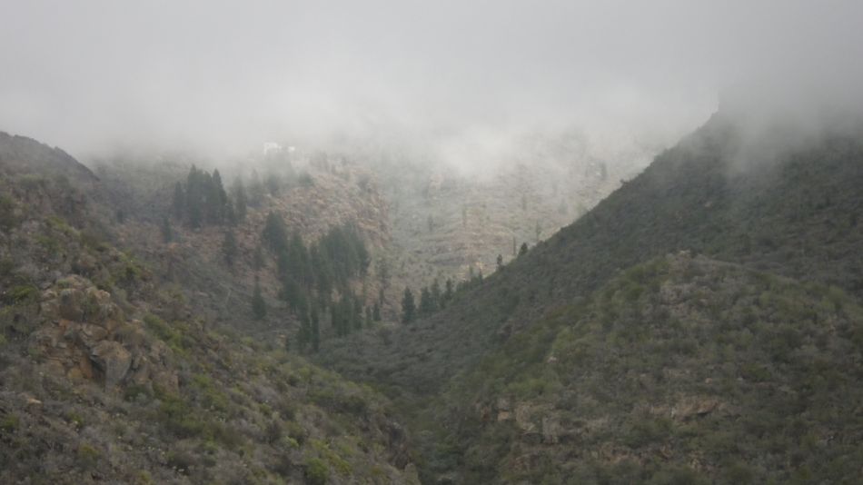 2020-01-22 14 Walk 13 Guia NE East SW West.jpg