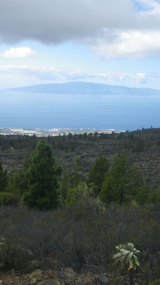 2020-01-22 16 Walk 13 Guia NE East SW West.jpg