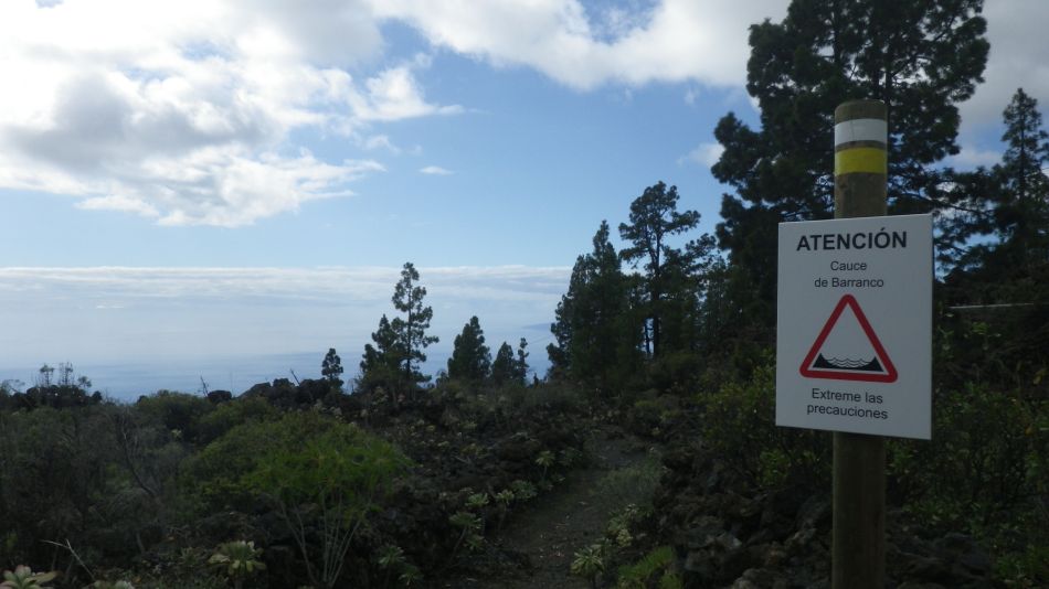 2020-01-22 17 Walk 13 Guia NE East SW West.jpg