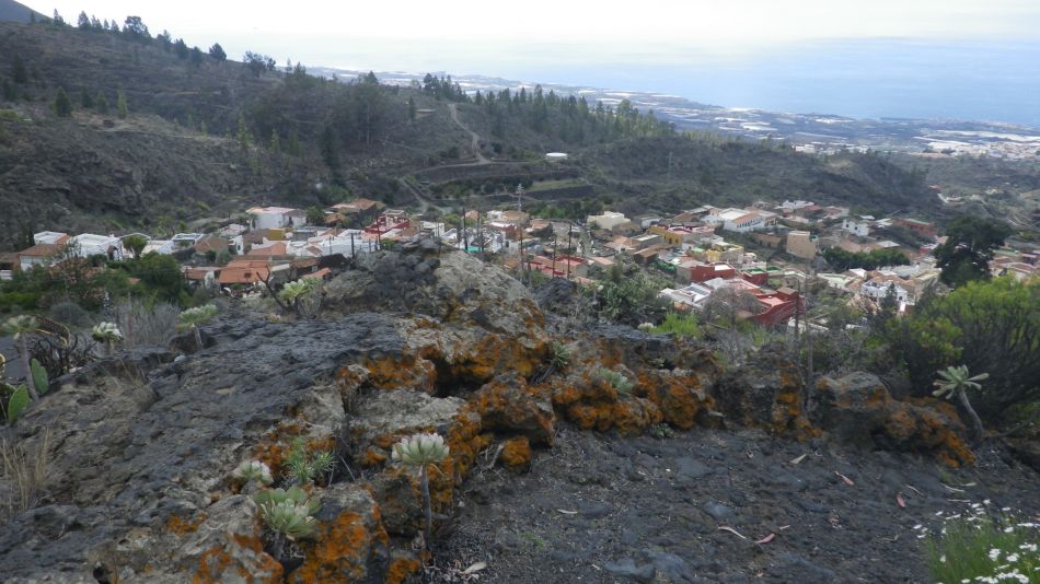 2020-01-22 19 Walk 13 Guia NE East SW West.jpg