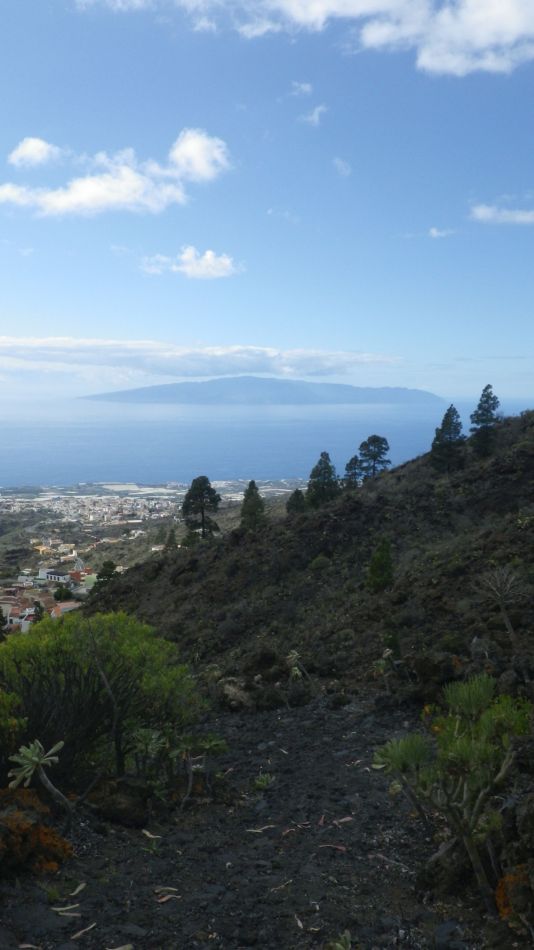 2020-01-22 20 Walk 13 Guia NE East SW West.jpg