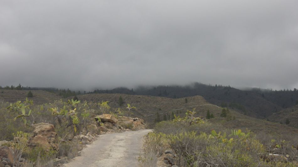 2020-01-24 01 Walk 15 Poor Weather at Altitude.jpg