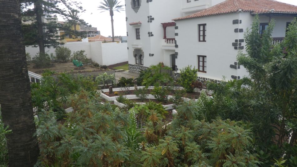 2020-01-24 07 Walk 15 Interesting Gardens.jpg