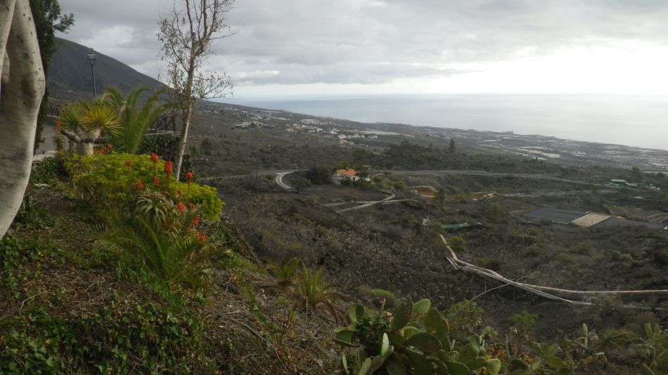 2020-01-25 01 Walk 16 Chiguergue.jpg