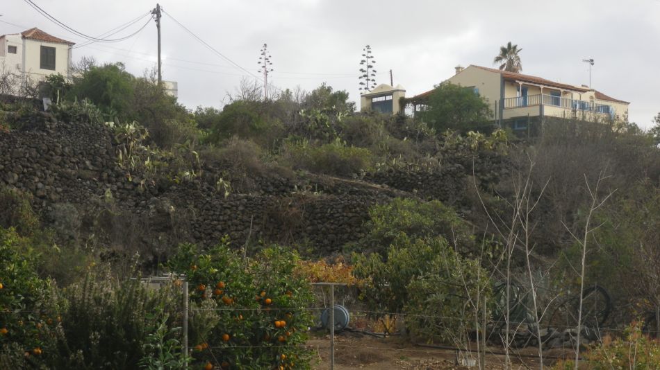 2020-01-25 04 Walk 16 Chiguergue.jpg